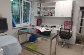 Ветеринарна клініка Альфа-Вет у Львові: турбота і досвід