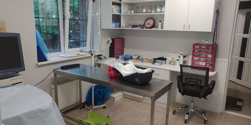 Ветеринарна клініка Альфа-Вет у Львові: турбота і досвід