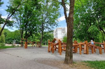 Пташине гніздечко у Львові: Парк для сімейного відпочинку