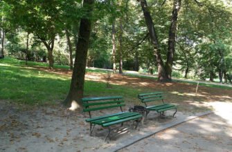 Парк для собак у Львові: безпечний майданчик для вигулу