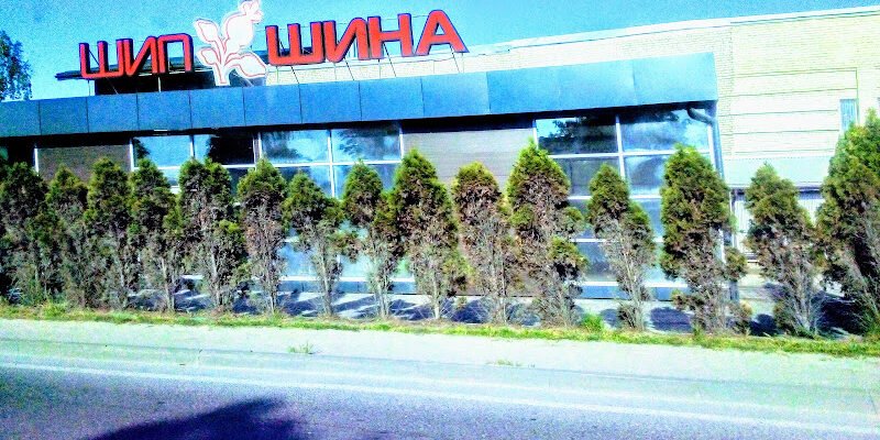 Магазин шин Львів: Шини Шипшина для авто