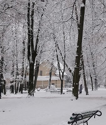 Зона для прогулянок: сквер біля дитмайданчика Львів