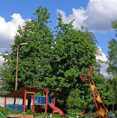 Дитячий садок №70 у Львові: освіта та розвиток