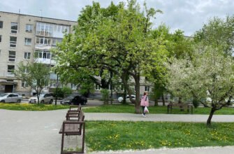 Меморіальний парк Івана Сірка у Львові: Сквер отамана