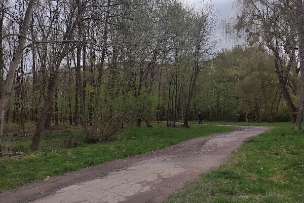 Парк Архангела Михаїла у Львові: Відкрий природу
