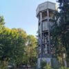 Парк психіатричної лікарні у Львові: історія та природа
