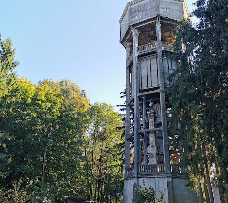 Парк психіатричної лікарні у Львові: історія та природа
