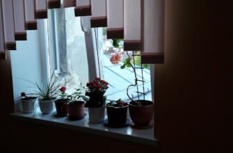 Лікарня Львова: щелепно-лицева хірургія