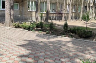 Школа №4 у Львові: початкова освіта від міськради