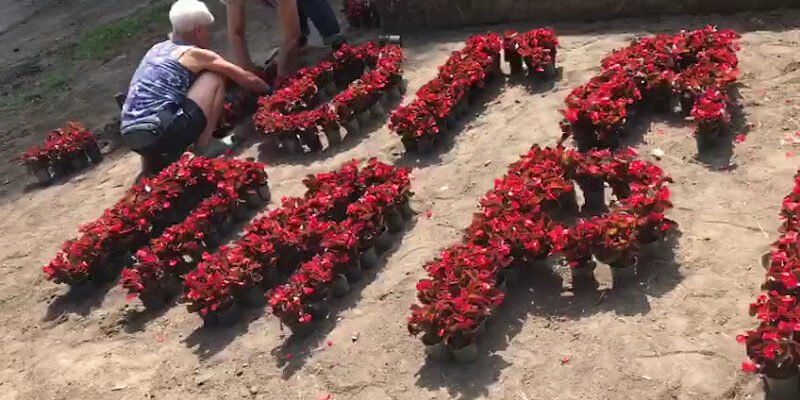 Йога-студія у Львові: відпочинок у Yoga-Park