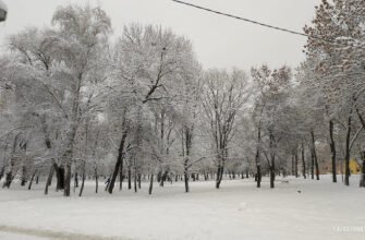 Відкрийте Парк ім. Івана Виговського у Львові