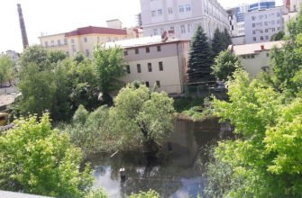 Авіно у Львові: Все, що варто знати про подію