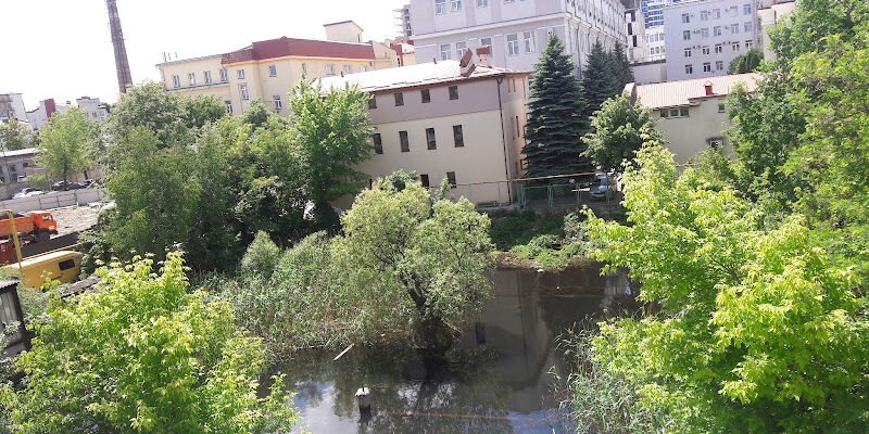 Авіно у Львові: Все, що варто знати про подію