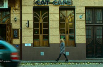 Котокафе у Львові: Відчуй затишок та компанію котів Котокафе у Львові: Відчуй затишок та компанію котів