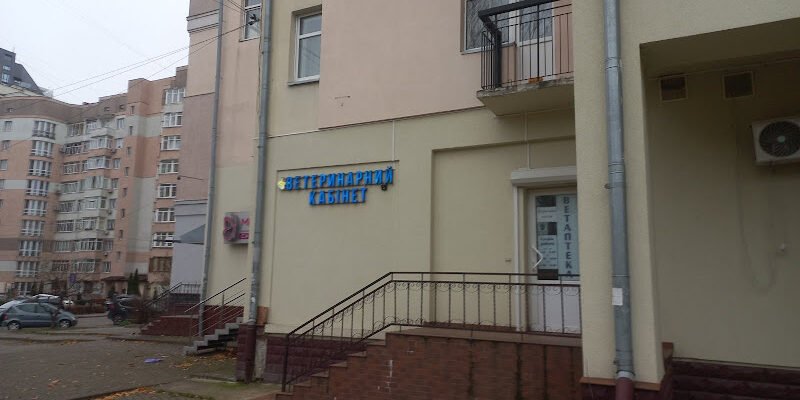 Ветеринарна клініка Ветпрактік у Львові – допомога тваринам