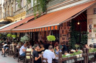 Кулінарна студія «Крива липа», Львів: вчимося готувати!