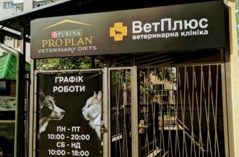 Ветеринарна клініка ВетПлюс у Львові: турбота про улюбленців