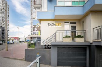 Ветеринарна клініка Львів: Zagavet – професійний догляд