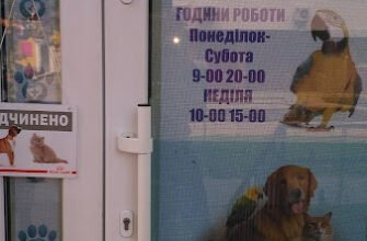Ветеринарна клініка Прайд: турбота про улюбленців Львова