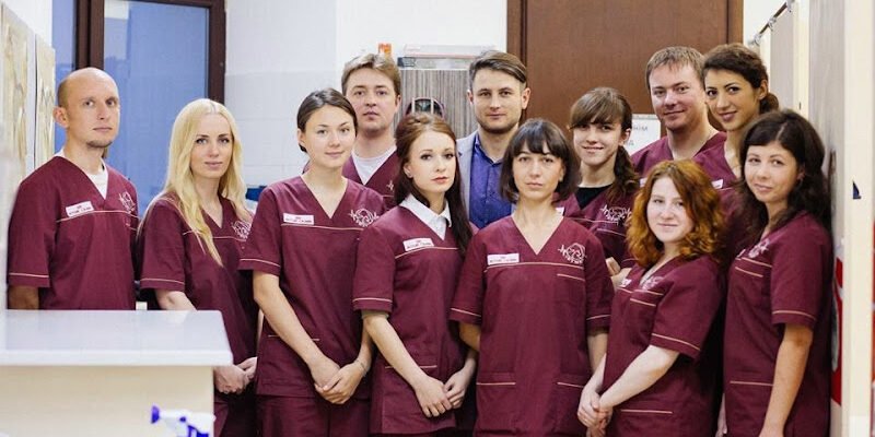 Ветеринарна клініка VetMed у Львові – Професійний догляд