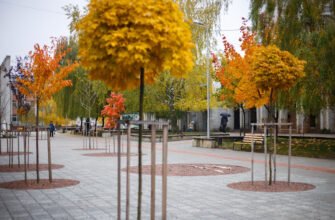 Парк Гідності у Львові: новий сквер для відпочинку