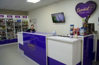 Ветеринарна клініка Eurovet у Львові – турбота про улюбленців