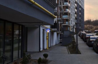 Ветеринарна клініка СоноВет у Львові – турбота про вашого улюбленця