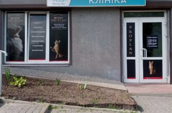 Ветеринарна клініка Vetis у Львові – турбота про ваших улюбленців