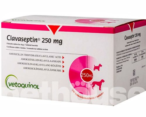 Клавасептин: ефективний антибіотик для боротьби з інфекціями