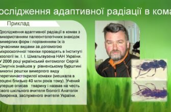Хто є автором правила адаптивної радіації? Дізнайтеся у статті!