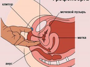 Як довести дівчину до сквірту: поради та техніки для успіху