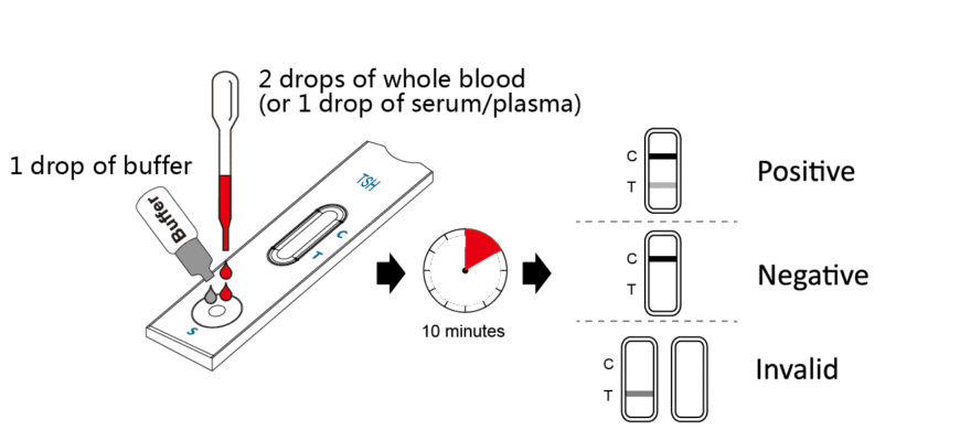 Тропоніновий тест: важливість у діагностиці серцевих захворювань