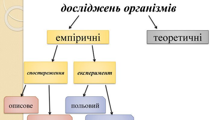 Методи біологічних досліджень організмів: ефективні підходи та техніки