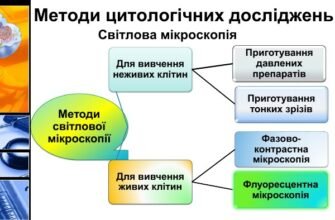 Методи дослідження клітини: сучасні підходи та технології
