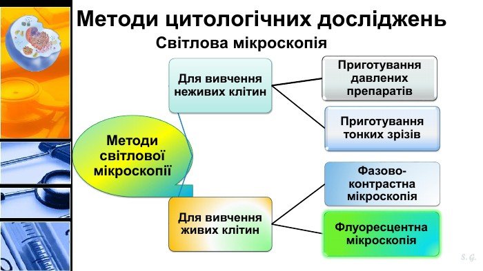 Методи дослідження клітини: сучасні підходи та технології