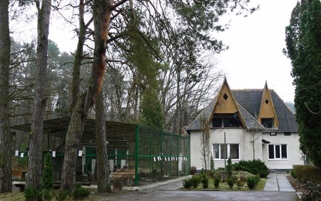 Музей природи Розточчя: відкрийте таємниці Західної України