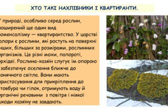 Хто такі нахлібники і яку роль вони відіграють у суспільстві?