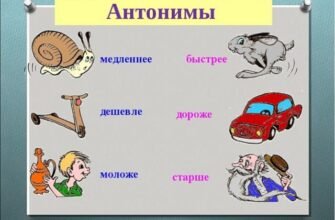 Що таке антоніми: визначення та приклади протилежних слів