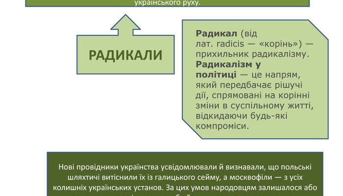 Хто такі радикали: визначення, причини та вплив на суспільство