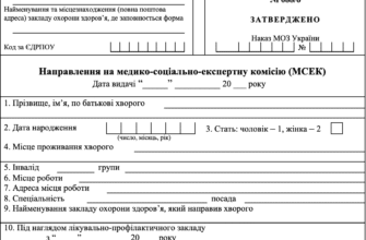 Хто надає направлення на МСЕК: повний путівник для пацієнтів