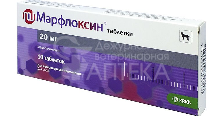 Марфлоксин: ефективний засіб проти бактеріальних інфекцій у тварин Марфлоксин: ефективний засіб проти бактеріальних інфекцій у тварин