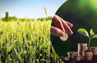 Як дізнатись суму податку на землю в Україні: прості кроки