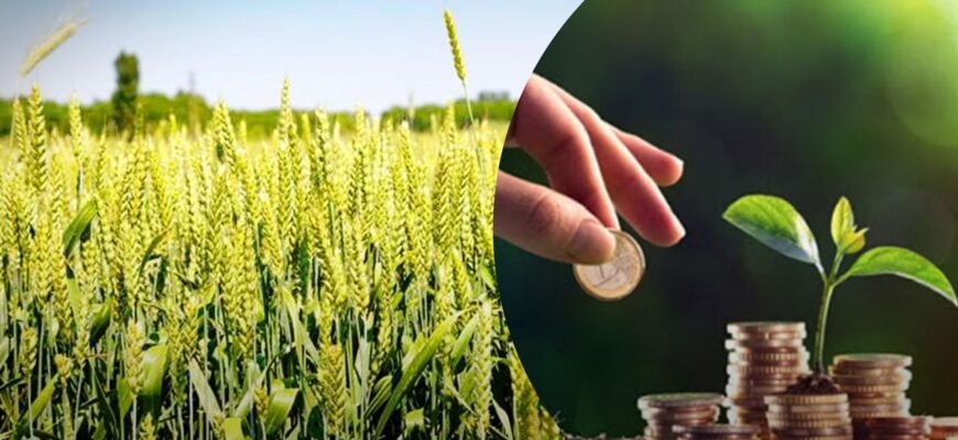 Як дізнатись суму податку на землю в Україні: прості кроки