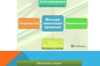 Методи вивчення природи в 5 класі: огляд ефективних підходів