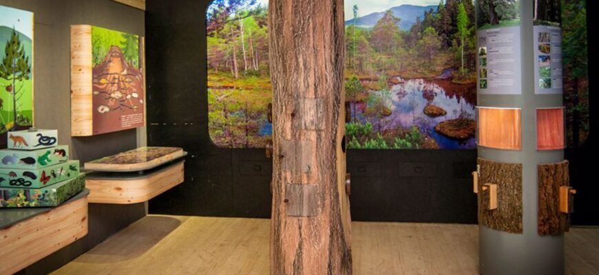 Вигода від відвідування музеїв: Переваги для суспільства та особистості