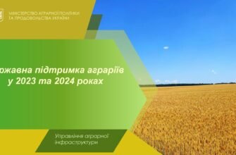 Державна підтримка сільського господарства 2024: зміни та перспективи