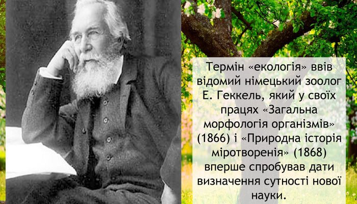 Хто запропонував термін екологія і його значення для науки?
