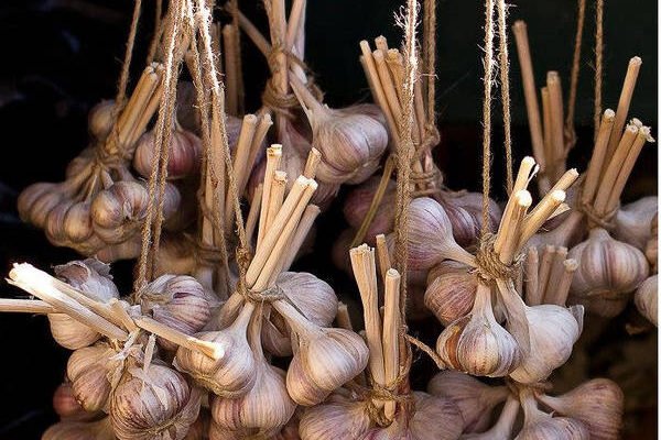 Як зберігати часник: ефективні методи для тривалого зберігання