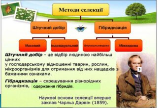 Ефективні методи селекції: інноваційні підходи в агрономії та біології