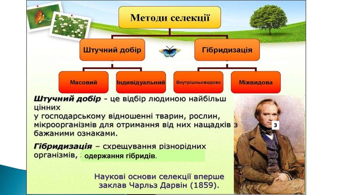 Основні методи селекції: ефективні підходи та техніки виведення